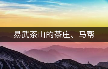 易武茶山的茶莊、馬幫