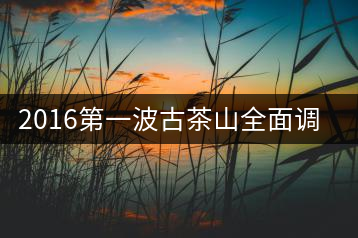 2016第一波古茶山全面調(diào)研第四站——臨滄·大雪山、小戶賽