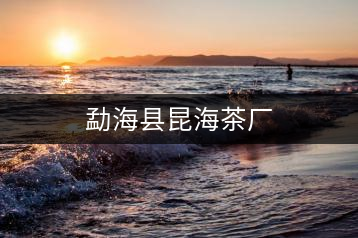 勐?？h昆海茶廠