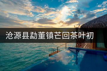 滄源縣勐董鎮(zhèn)芒回茶葉初制所