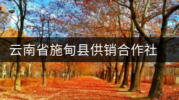 云南省施甸縣供銷(xiāo)合作社萬(wàn)興茶廠