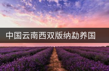 中國(guó)云南西雙版納勐養(yǎng)國(guó)艷茶廠(chǎng)