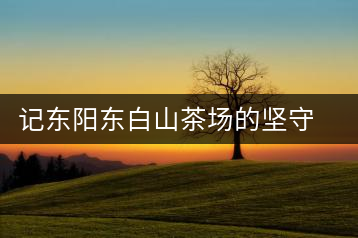 記東陽東白山茶場的堅守者金永平