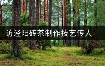 訪涇陽磚茶制作技藝傳人、陜西省非遺傳承人賈根社
