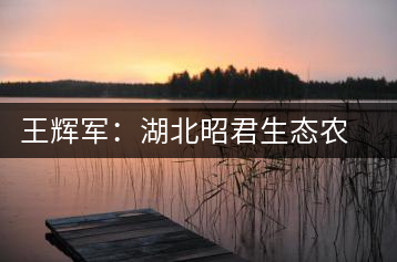 王輝軍:湖北昭君生態(tài)農業(yè)有限公司董事長
