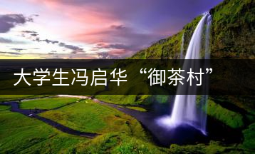 大學(xué)生馮啟華“御茶村”茶園放飛創(chuàng)業(yè)夢想