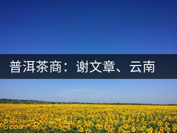 普洱茶商：謝文章、云南谷申商貿(mào)有限公司總經(jīng)理