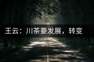 王云：川茶要發(fā)展，轉變思想是關鍵