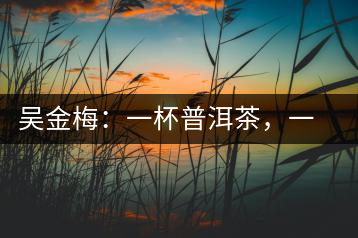 吳金梅：一杯普洱茶，一份云南情