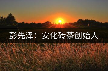 彭先澤:安化磚茶創(chuàng)始人