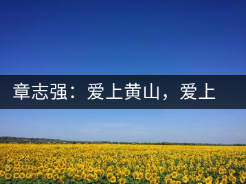 章志強(qiáng)：愛上黃山，愛上黃山的茶