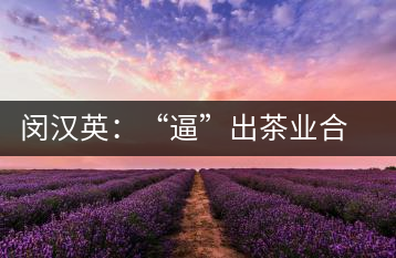 閔漢英：“逼”出茶業(yè)合作社，帶領(lǐng)村民走上致富路