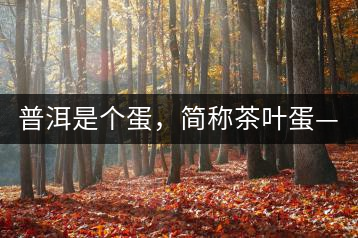 普洱是個(gè)蛋，簡(jiǎn)稱茶葉蛋——楊鎮(zhèn)瑜訪談錄