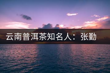 云南普洱茶知名人:張勤民
