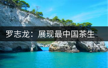 羅志龍:展現(xiàn)最中國茶生活