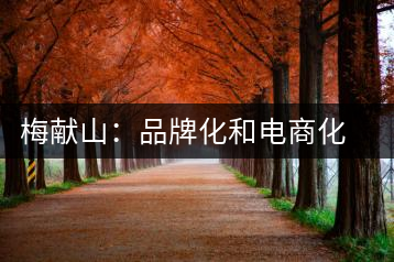 梅獻(xiàn)山：品牌化和電商化成為茶產(chǎn)業(yè)的第三個轉(zhuǎn)機