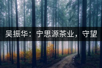 吳振華：寧思源茶業(yè)，守望家鄉(xiāng) 做好“金獎茶王”