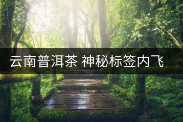 云南普洱茶 神秘標簽內(nèi)飛歷史