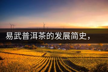 易武普洱茶的發(fā)展簡(jiǎn)史，昔日的貢茶如今依然輝煌