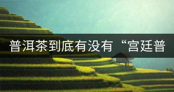 普洱茶到底有沒(méi)有“宮廷普洱”一說(shuō)？它到底是什么？
