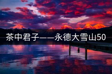 茶中君子——永德大雪山500年單株