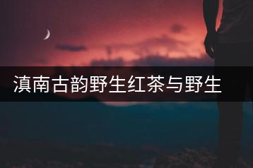 滇南古韻野生紅茶與野生古樹紅茶開湯對(duì)比