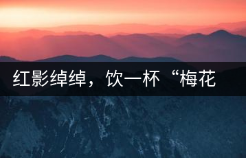 紅影綽綽，飲一杯“梅花”醉