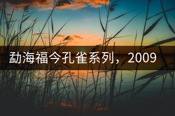 勐海福今孔雀系列，2009年尊享青餅