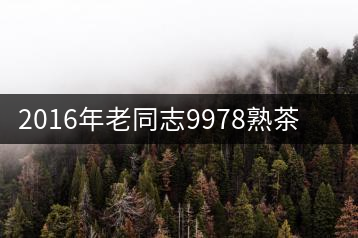 2016年老同志9978熟茶專(zhuān)業(yè)品評(píng)