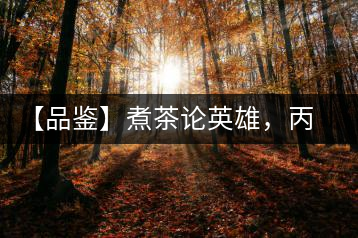 【品鑒】煮茶論英雄，丙申年易武麻黑