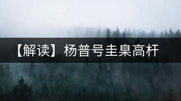 【解讀】楊普號(hào)圭臬高桿茶：形高、氣足、韻遠(yuǎn)的一款茶