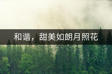 和諧，甜美如朗月照花