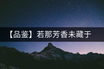 【品鑒】若那芳香未藏于樟野，怎會這般獨具韻味？