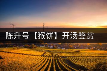 陳升號(hào)【猴餅】開(kāi)湯鑒賞篇：沖泡【猴餅】有哪些需要注意的