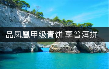 品鳳凰甲級(jí)青餅 享普洱拼配之美