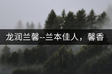 龍潤蘭馨–蘭本佳人，馨香高雅