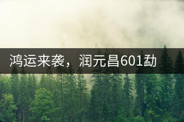 鴻運(yùn)來襲，潤元昌601勐海紅韻熟茶即將上市