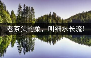 老茶頭的柔，叫細水長流！