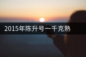 2015年陳升號(hào)一千克熟茶磚經(jīng)典大樹(shù)新品上市