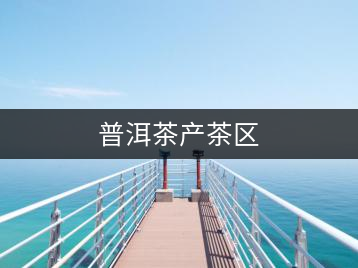 普洱茶產茶區(qū)