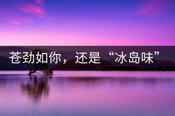 蒼勁如你，還是“冰島味”嗎？