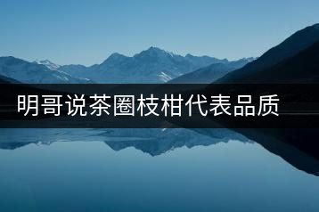 明哥說茶圈枝柑代表品質高點，是玩家級的產品