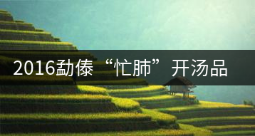 2016勐傣“忙肺”開湯品鑒