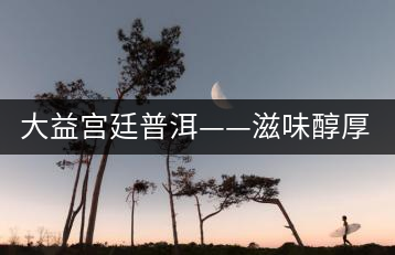 大益宮廷普洱——滋味醇厚，陳香濃郁