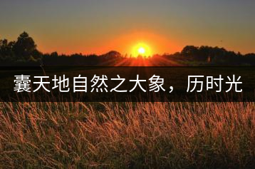 囊天地自然之大象,歷時光十載流轉(zhuǎn)-皇茶一號