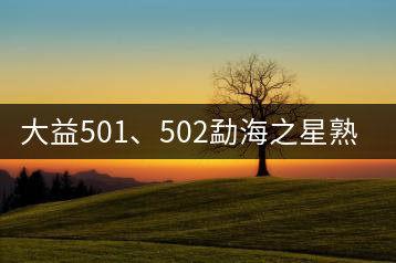大益501、502勐海之星熟茶
