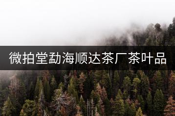 微拍堂勐海順達(dá)茶廠茶葉品質(zhì)如何？