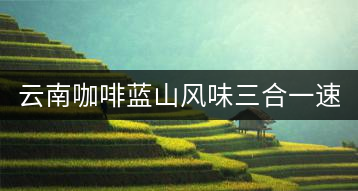 云南咖啡藍山風(fēng)味三合一速溶咖啡粉袋裝 黑咖啡 提神學(xué)生40條普洱