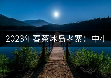 2023年春茶冰島老寨：中小樹(shù)混采2500-3000元／公斤，大樹(shù)：7000-8000元／公斤，古樹(shù)混采：28000-36000元／公斤