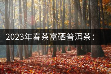 2023年春茶富硒普洱茶：1.富硒有機(jī)手工生普，市場(chǎng)指導(dǎo)價(jià)800元／公斤；2.富硒有機(jī)一級(jí)紅茶，市場(chǎng)指導(dǎo)價(jià)800元／公斤；3.富硒有機(jī)熟普餅，市場(chǎng)指導(dǎo)價(jià)1000元／公斤；4.富硒有機(jī)月光白茶，市場(chǎng)指導(dǎo)價(jià)800元／公斤。